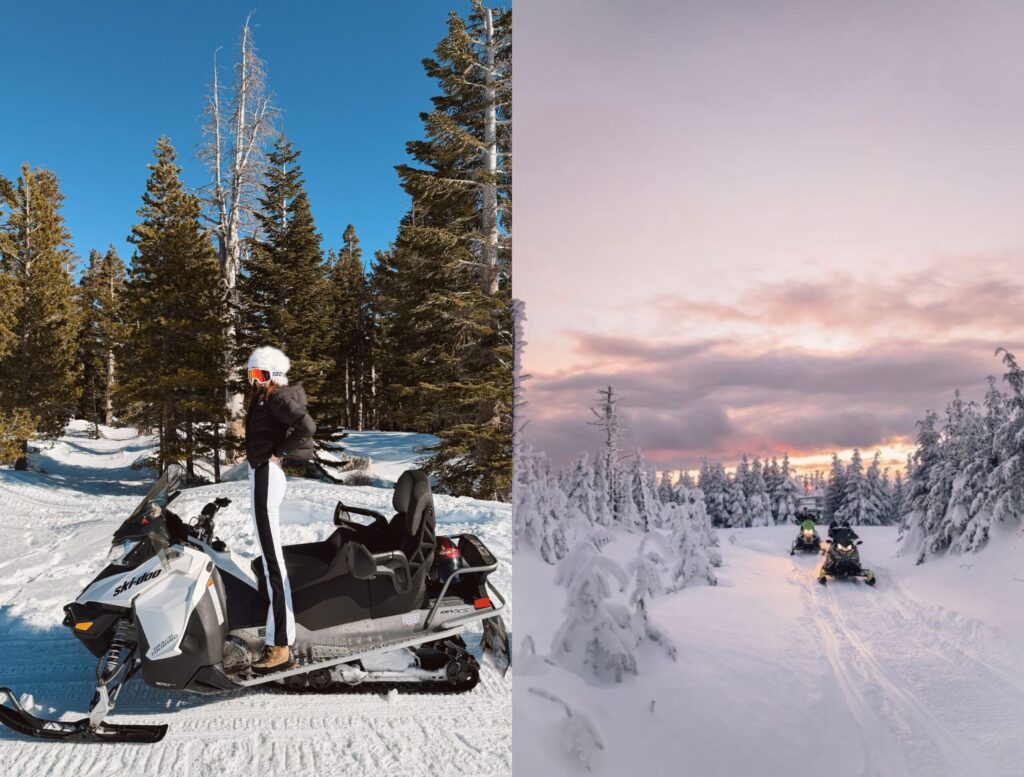Split image: On the left, Misha Skova in winter gear stands beside a snowmobile on a snowy path among evergreen trees of Lake Tahoe; on the right, several people ride snowmobiles through a snow-covered forest at sunset.
