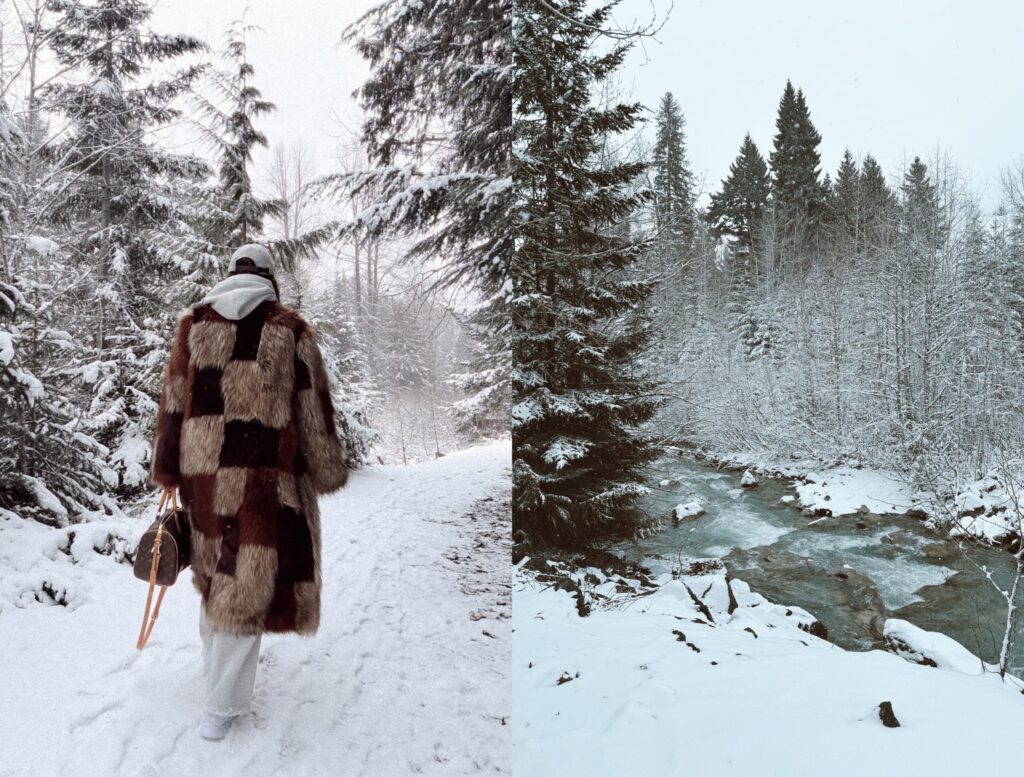 A person wearing a long checkered fur coat walks through a snowy forest path, carrying a brown bag. Next to them is a snow-covered landscape with evergreen trees and a flowing creek.