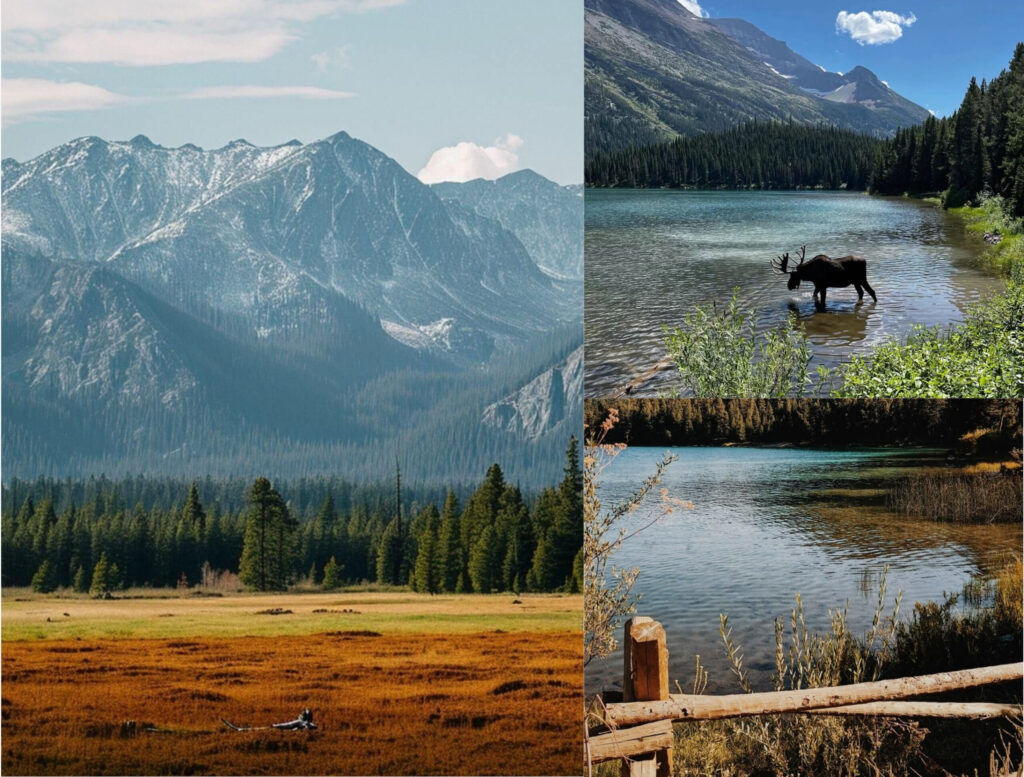 Mountain range reflected in a quiet Montana lake and a moose standing in a shallow lake beneath snowcapped mountains